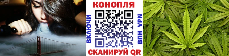 Марихуана план  Курильск 